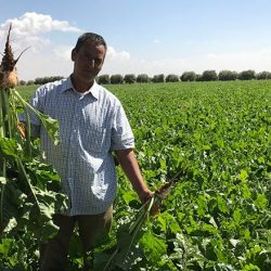 Irrigation in Morocco